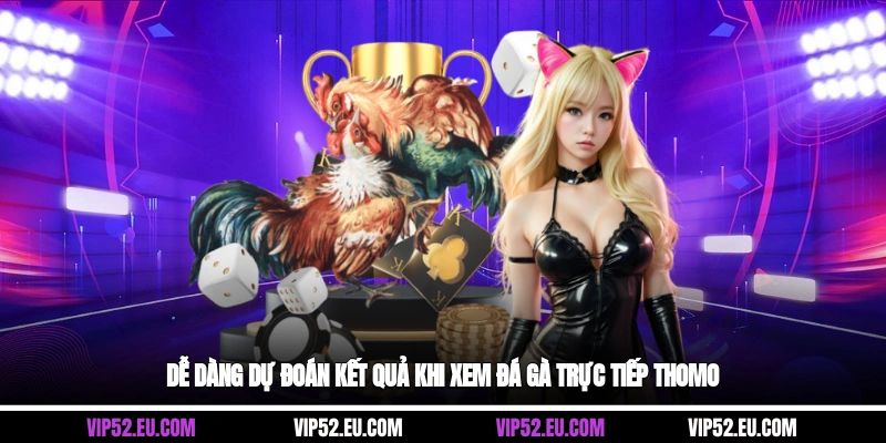 Dễ dàng dự đoán kết quả khi xem đá gà trực tiếp thomo